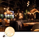 Vintage LED Bulb Globe Filament Bulb E27 G125 6W