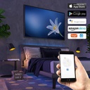 SMART+ WIFI RGBW 12/24V 4-channel LED SMART+ WIFI RGBW 12/24V 4-channel LED Controller