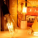 Vintage LED Bulb Globe Filament Bulb E27 G125 6W