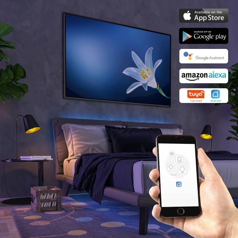 RGB WiFi Alexa/Google Home musical LED RGB LED strip kit with source, remote and controller 5 meters