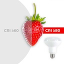 R90 Reflector LED Bulb 10W - E27