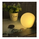 Bombilla LED Globo E27 G120 - 20W