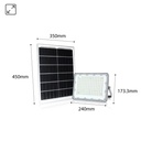 Solar LED projector + solar panel 100W