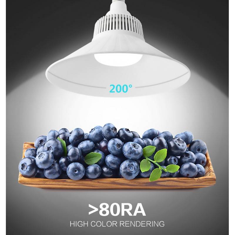 LED Bulb E40 100W 10.000lm 230V Industrial Use