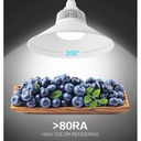 LED Bulb E40 100W 10.000lm 230V Industrial Use