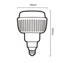 LED Bulb E40 100W 10.000lm 230V Industrial Use