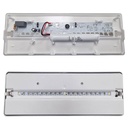 Emergency light LED REX MINI 60LM AUTOTEST IP65