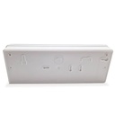 Emergency light LED REX MINI 60LM AUTOTEST IP65