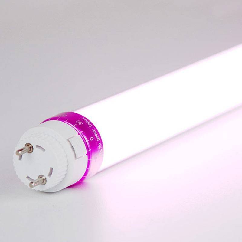 LED T8 tube special deli 60cm 10W