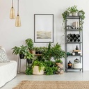 Wicker pendant lamp "Boa".