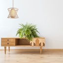 Japanese bamboo pendant lamp "Rise".