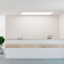 LED panel slim 120X30 cm - Driver Philips - 44W - UGR19