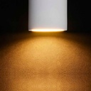 Plaster ceiling light - GU10
