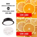 Round Waterproof Downlight CCT Fumagalli "Teresa 260" 18W IP55