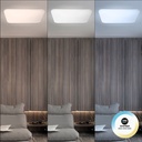 BASIC CCT square LED surface mounted ceiling lamp - 24W - IP20