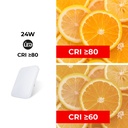 BASIC CCT square LED surface mounted ceiling lamp - 24W - IP20