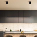 Linear pendant lamp "NICK" - 22W