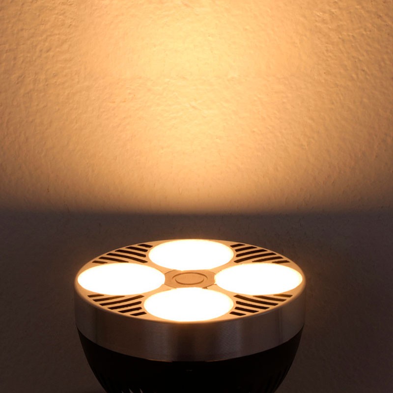 Pack Ceiling or wall lamp "CINEMA" with LED PAR30 E27 bulb