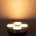 Pack Ceiling or wall lamp "CINEMA" with LED PAR30 E27 bulb