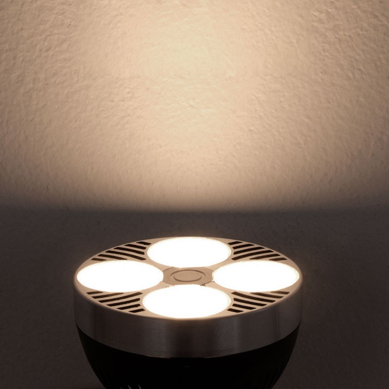 Pack Ceiling or wall lamp "CINEMA" with LED PAR30 E27 bulb