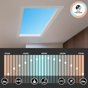"SMART Blue Skylight" LED Panel - Sky effect - Daylight - 100W - 120x30cm