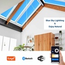 "SMART Blue Skylight" LED Panel - Sky effect - Daylight - 100W - 120x30cm