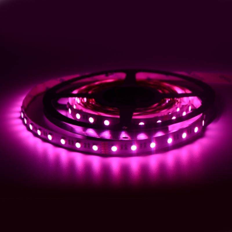 LED Strip 24V-DC 96W RGBWW IP20 (SMD5050) 5 meters Roll