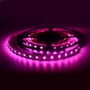 LED Strip 24V-DC 96W RGBWW IP20 (SMD5050) 5 meters Roll