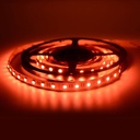 LED Strip 24V-DC 96W RGBWW IP20 (SMD5050) 5 meters Roll