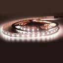 LED Strip 24V-DC 96W 12mm RGBW IP20 (SMD5050) 5 meter roll