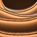LED Strip 24V-DC 26W/m CRI90 single color IP20 5 meter roll