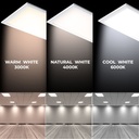 Pack of 6 slim LED panels 120X30 cm - Driver Philips - 44W - UGR19