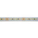 LED Strip 24V DC - Monochrome - 18W/m - 12mm - IP67 - 5 metres - 120LED/m