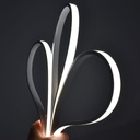 Flexible LED neon 24V DC - 5x11mm - 5 meters - Complete kit - 11W/m - 320ch/m - IP67 - Vertical curvature