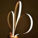Flexible LED neon 24V DC - 5x11mm - 5 meters - Complete kit - 11W/m - 320ch/m - IP67 - Vertical curvature