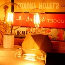 Vintage amber LED filament bulb - Dimmable - E27 A60 - 4W