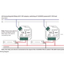 Sunricher 2 in 1 Converter: DALI to 0-10V + DALI Relay