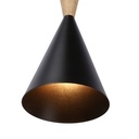 Nordic metal and wood pendant light "Exan"