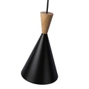 Nordic metal and wood pendant light "Exan"