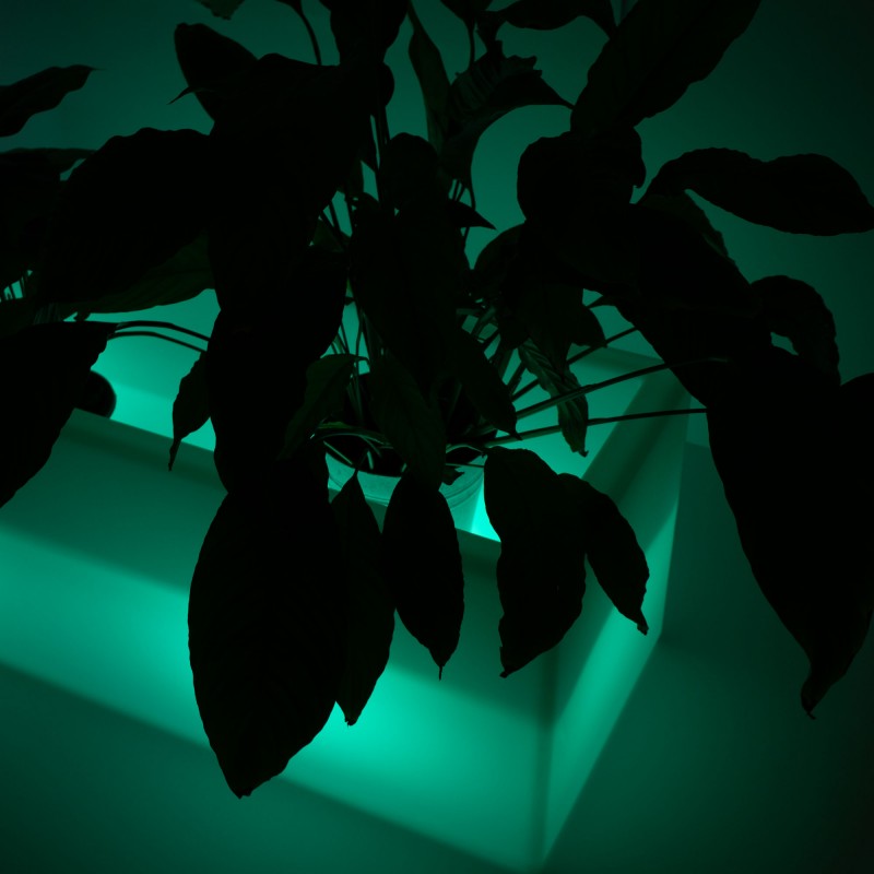 RGBW Rechargeable RGBW LED Planter - 12W - IP67