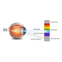 LED Bulb GU10 6W Full Spectrum "SUNLIKE" - Crystal - 500lm - CRI90 - PAR16 - 36°.