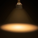 LED Bulb GU10 6W crystal - 800lm - PAR16 - 36° - 36° - LED bulb GU10 6W crystal - 800lm - PAR16 - 36° - 36° - 6W