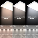 Pack of 12 slim LED panels 120X60cm - PHILIPS Driver - 72W - UGR19