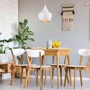Nordic pendant light "Helga"