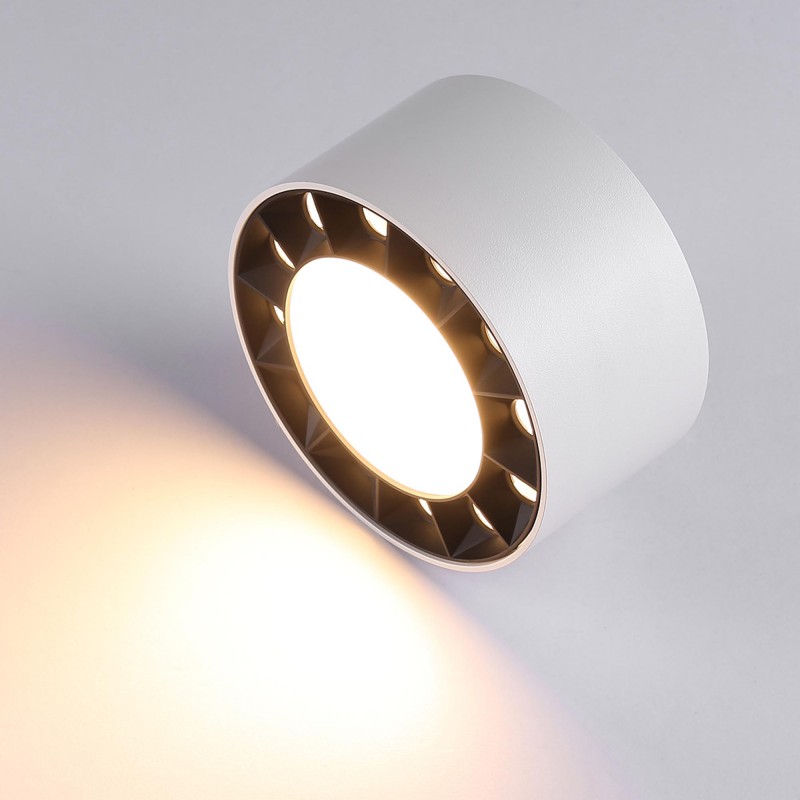 Ceiling light LED 18W - UGR18 - Driver Eaglerise