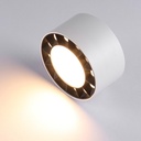 Ceiling light LED 18W - UGR18 - Driver Eaglerise