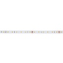 Λωρίδα LED 24V DC - 12W/m - Μονόχρωμη - 10mm - IP20 - 5 μέτρα - SMD2835 60ch/m