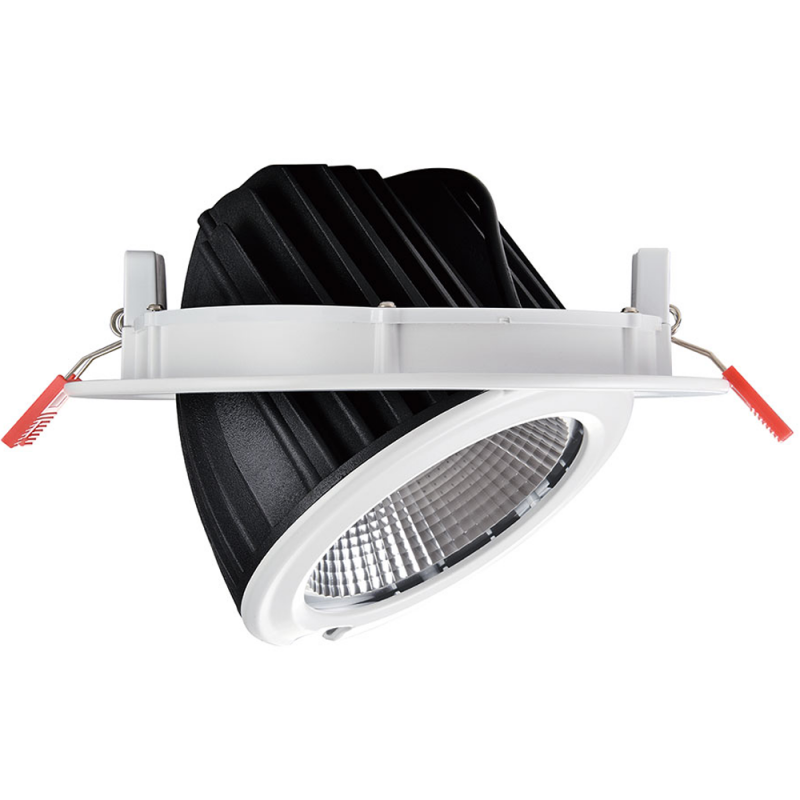 42W COB LED Downlight - CRI90 - Bridgelux chip - Lifud driver - IP20 - Cutout Ø 215mm