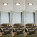 Round LED ceiling light - 30W CCT - Ø43cm - 2000lm - IP20