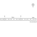 24V DC LED Strip - 12W/m - Single Color - 12mm - IP67 - 5 meters - SMD2835 60LED/m